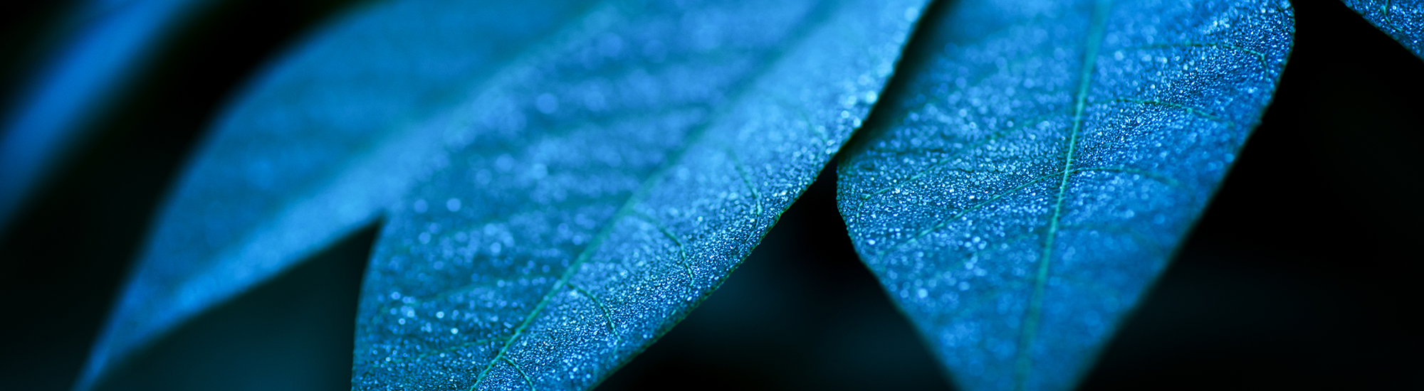 Perpetual High Grade Floating Rate Fund - Class R