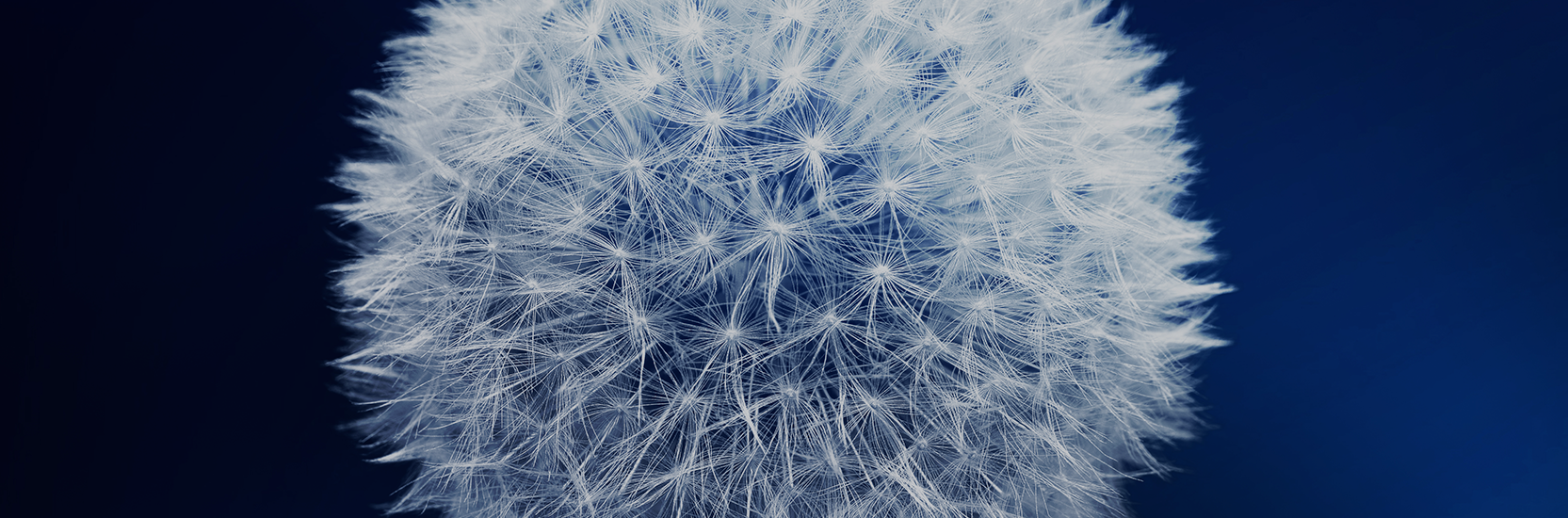 Health and personal injury