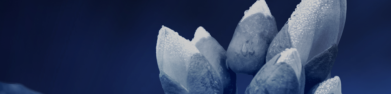 $3 million super tax (Division 296 Tax)